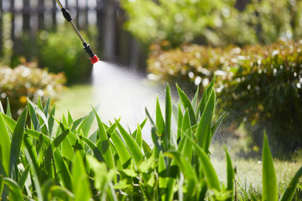 Tamper-Resistant Bait Stations for Rodents in Flatwoods