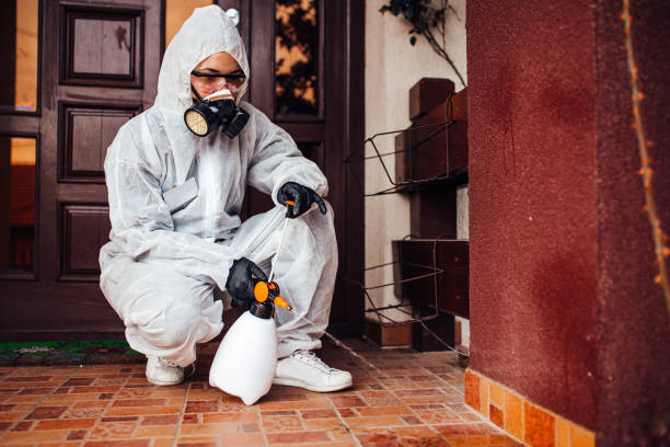 Attic and Crawl Space Rodent Treatment in Flatwoods