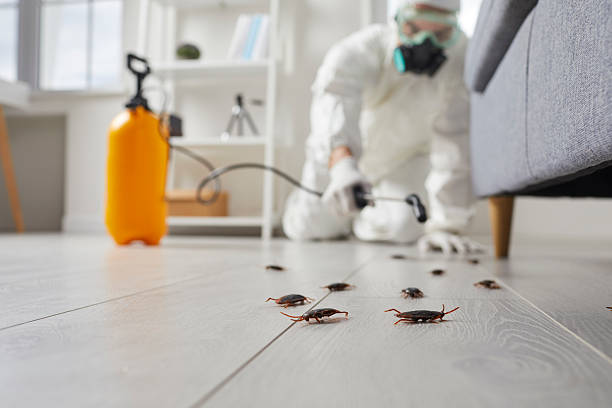 Commercial Rodent Management in Flatwoods